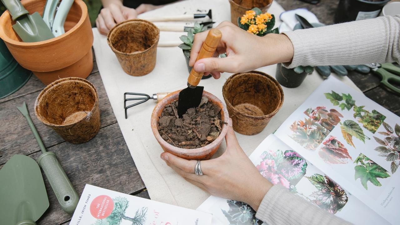 El truco de expertos en jardinería para preparar la tierra de tus macetas